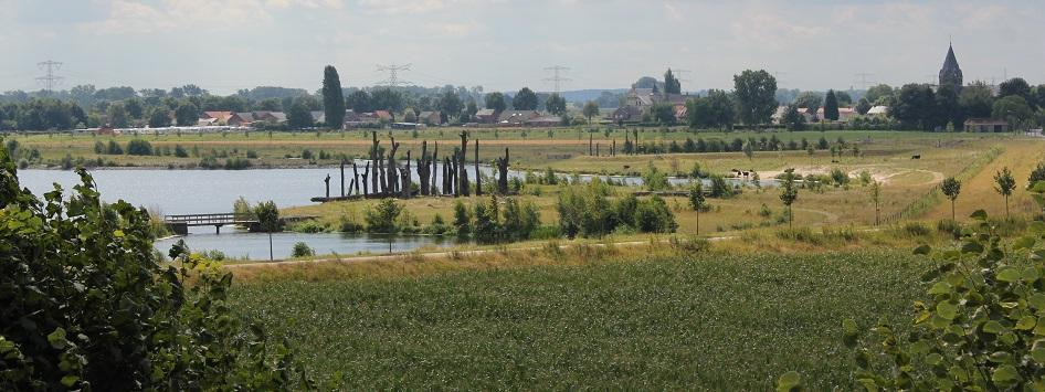 Natuur bij de Molenplas in Stevensweert