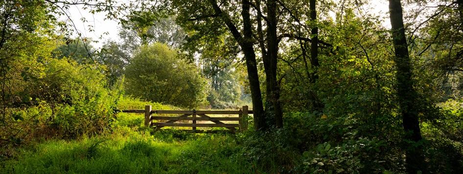Een wandelpad met een hek midden in de groene natuur van Nederweert. 1 van de 5 wandeltips en routes die je op deze webpagina kunt vinden.