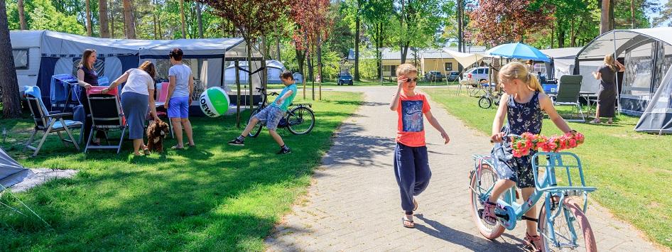 Die Campingplätze von camping de Heldense Bosse