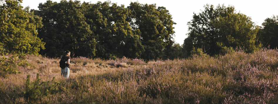 Nationaal park de Meinweg
