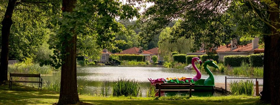 Der Teich des Parc de Witte Vennen mit den Häusern im Hintergrund und den Tretbooten im Vordergrund, wo man in Venray übernachten kann