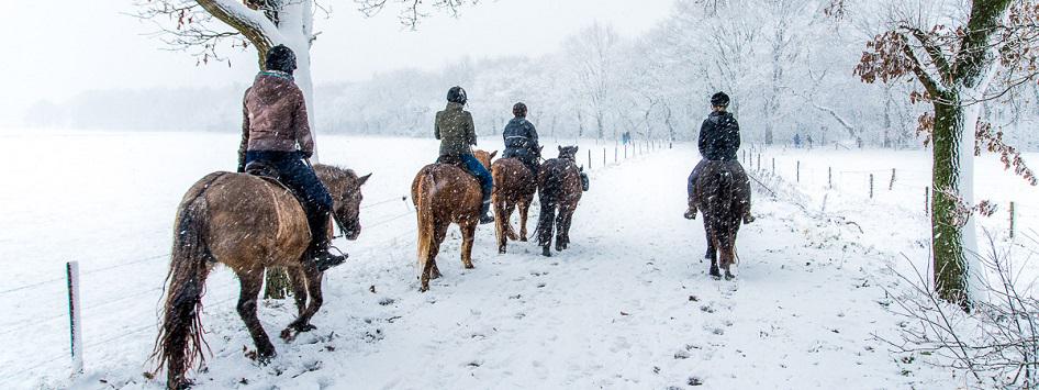 Paardrijden in de sneeuw