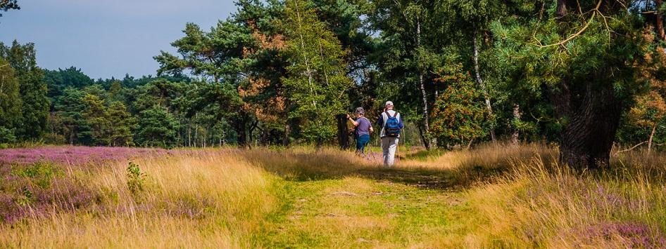 actief dagje uit in limburg