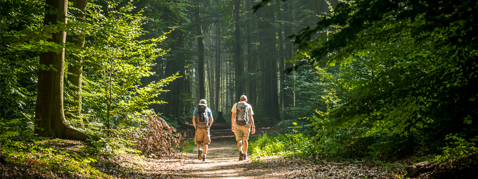 Wandelaars hebben de wandeltips ter harte genomen en wandelen door de mooie natuur