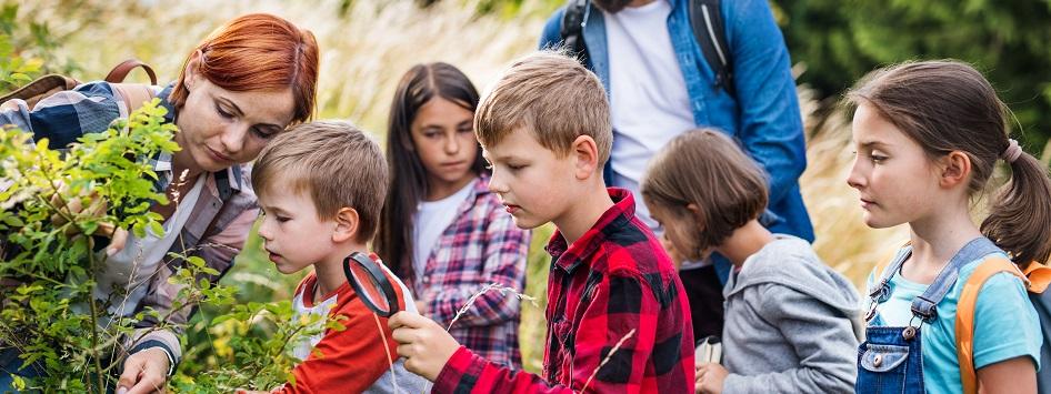 schoolkinderen zijn buiten op zoek naar planten en dieren