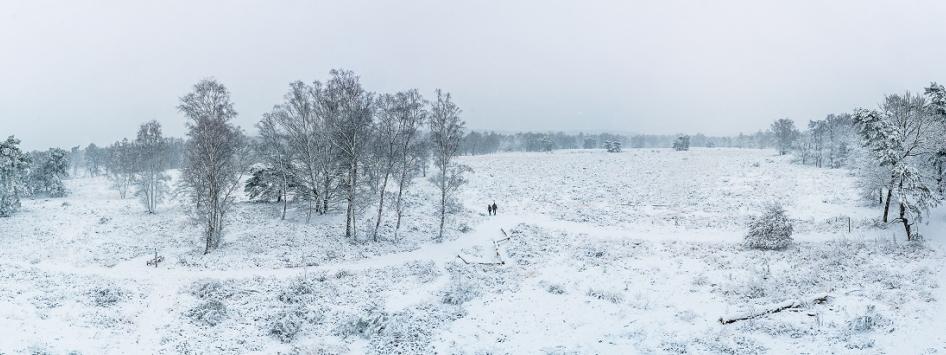 Winters landschap midden limburg