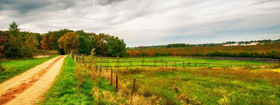 Natuur herfst