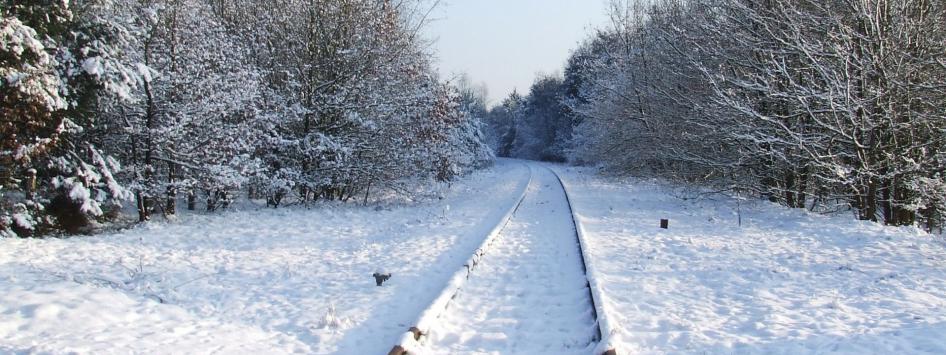 Sneeuw de Meinweg