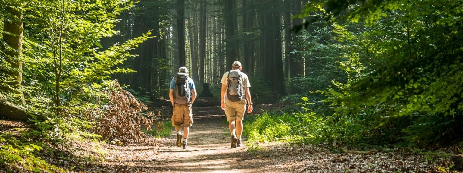 Wandelen natuur