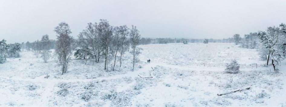 Natuur winter sneeuw