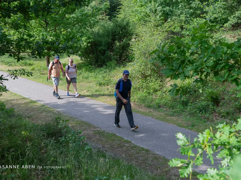 meerdaags wandelevenement in venray met de groene omgeving in beeld
