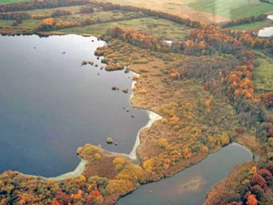 Luchtfoto natuurgebied de banen