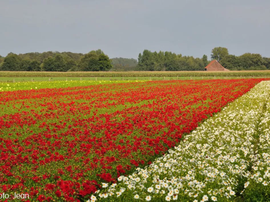 KempenBroek - Wisbroekroute