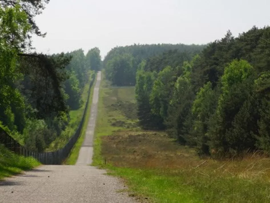 Lange, heuvelachtige landweg door het bos