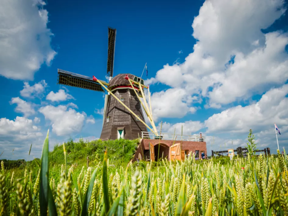 Wandelroute Beesel: Tussen Mortel, Maas en Swalmdal