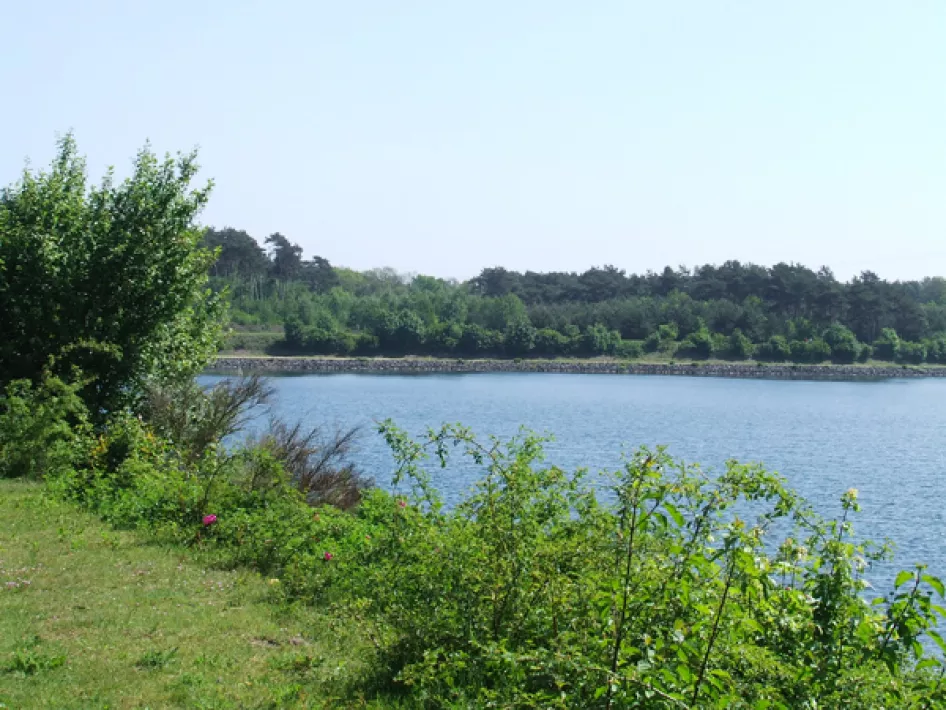 Biketour: Maas towns route