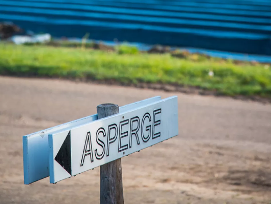 Fietsroute: Asperge fietstocht Leudal
