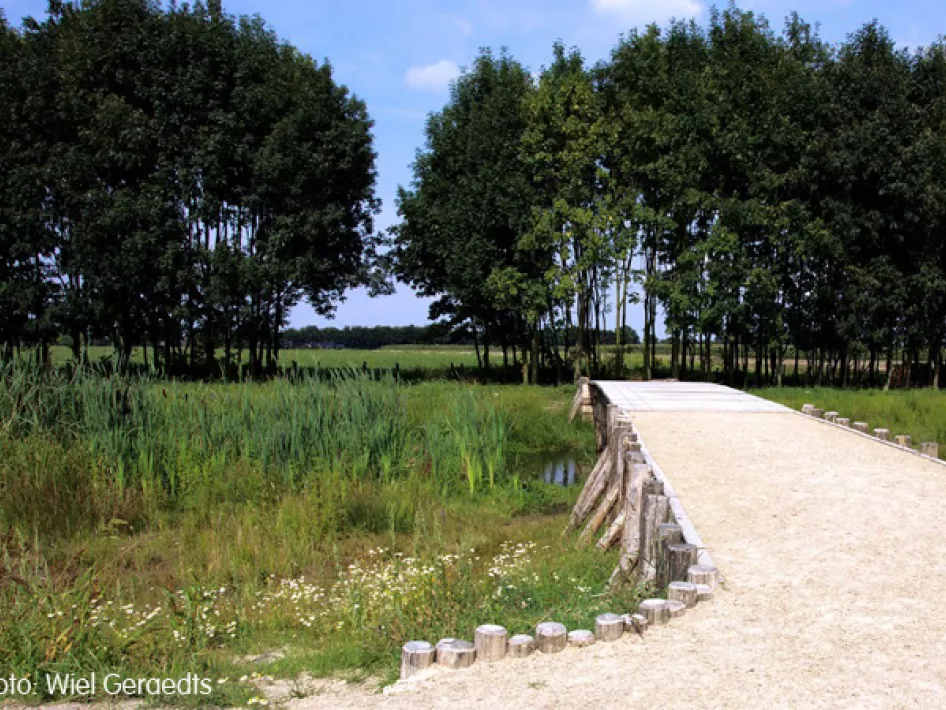 Nature Walk: KempenBroek - Roman Bridge