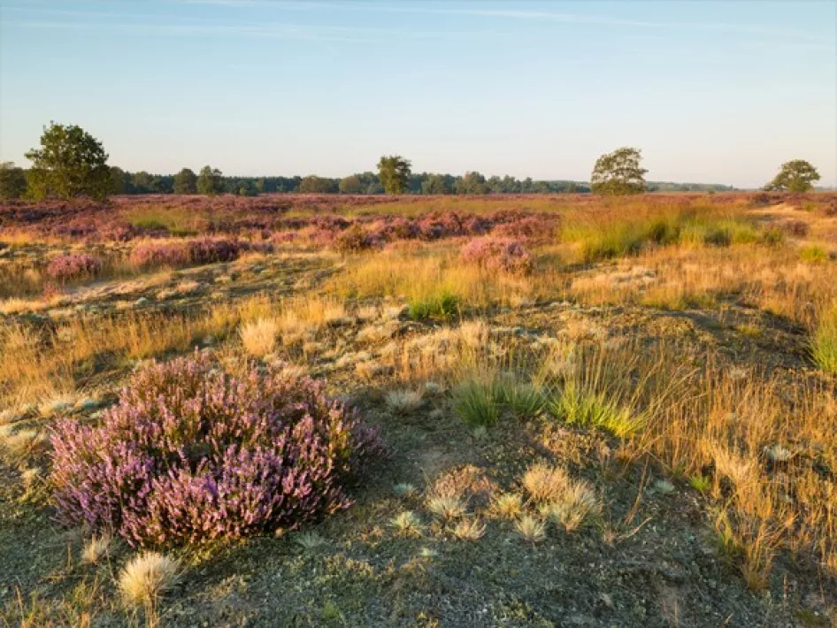 Border park KempenBroek