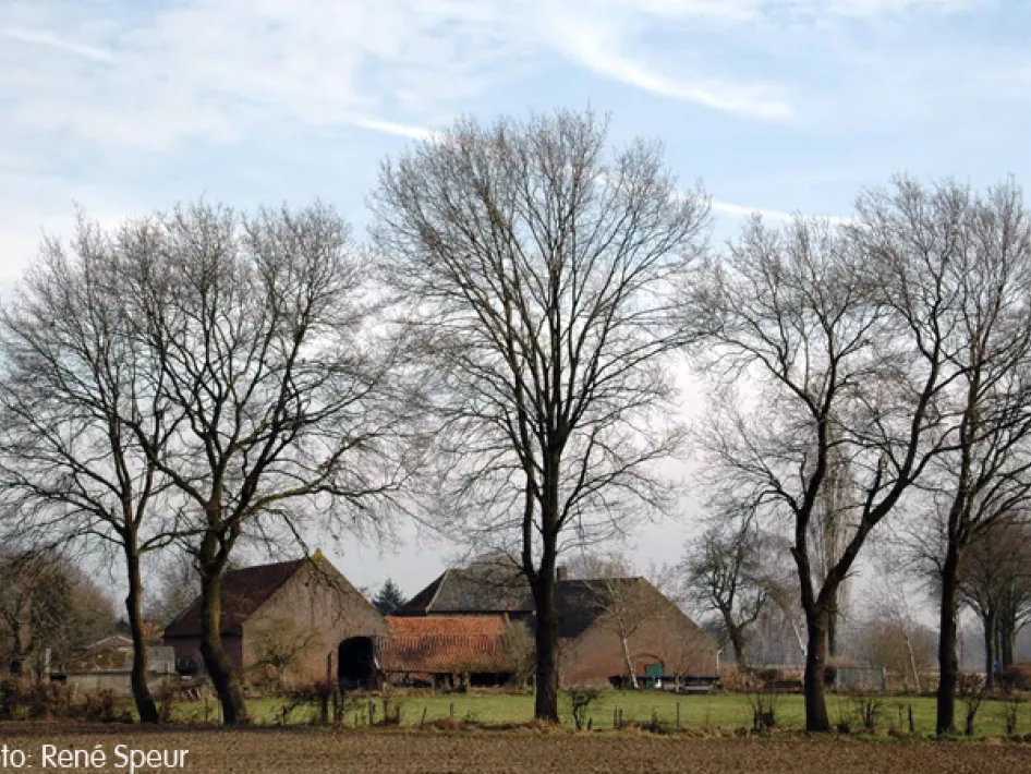 KempenBroek - Grensroute oostlus