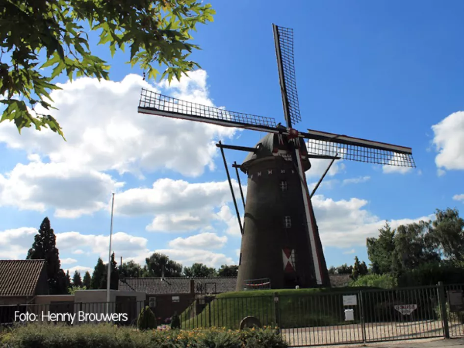 De Leonardusmolen in Maasbracht (foto: Henny Brouwers)