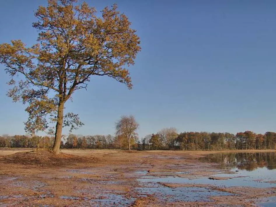 Natuurgebied met water en bomen