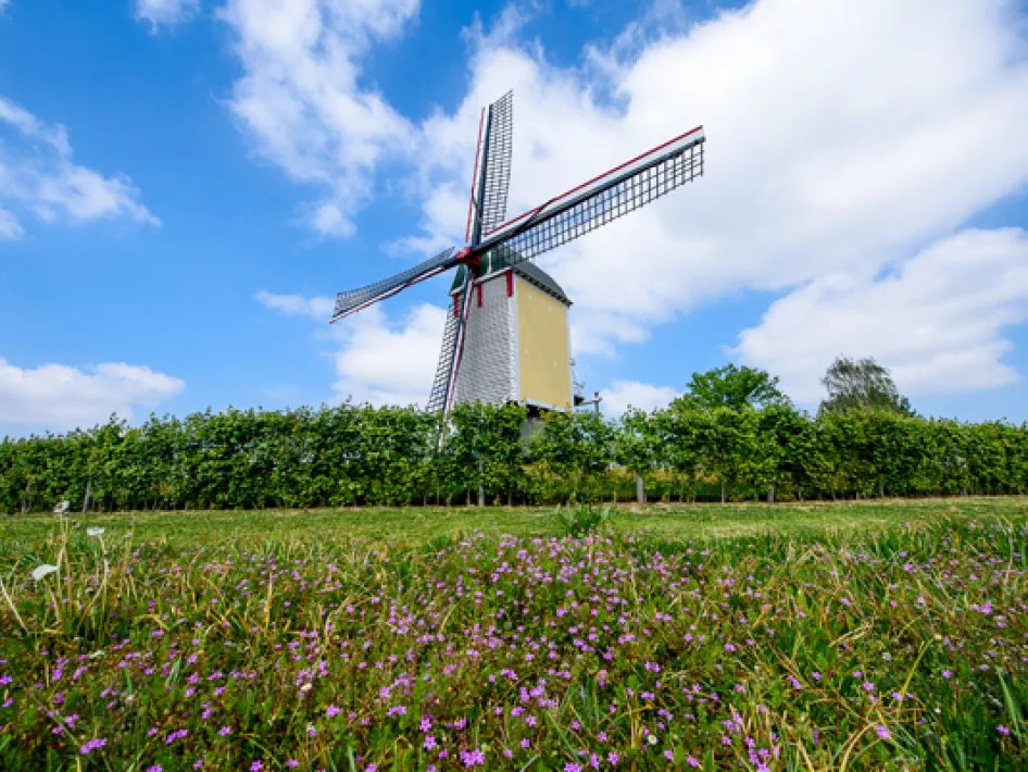 Fietsroute: Asperge fietstocht Leudal