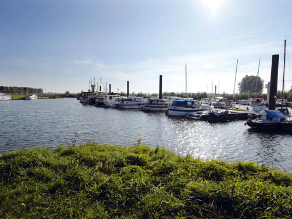 Blick auf den Yachthafen von Hanssum mit vertäuten Booten an einem ruhigen Arm der Maas, umgeben von Grün.