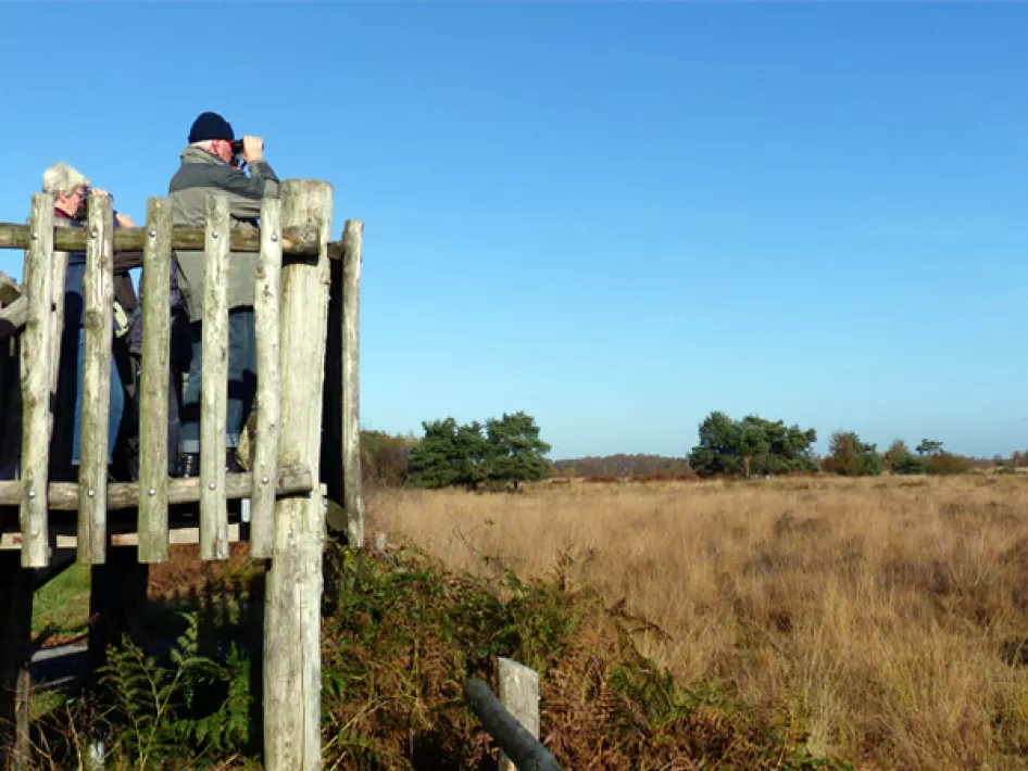 Uitkijktoren de Peel
