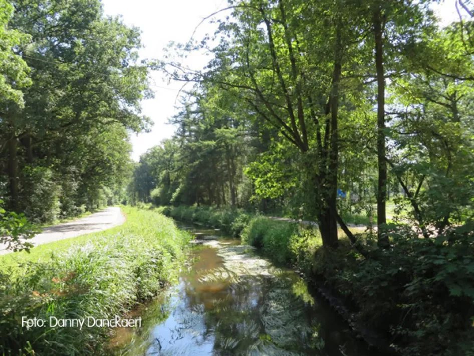 Bach mit gepflastertem Weg auf der linken Seite