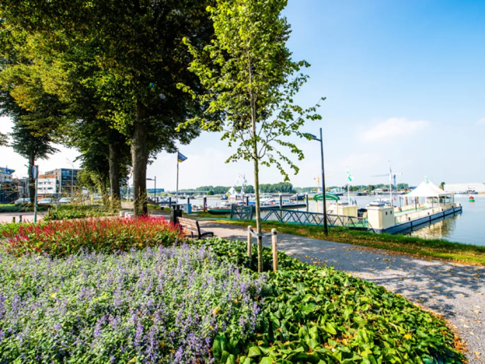 Biketour: Maas towns route