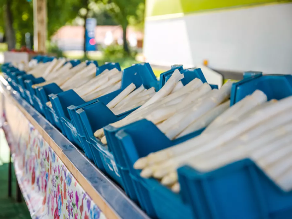 Fietsroute: Asperge fietstocht Leudal