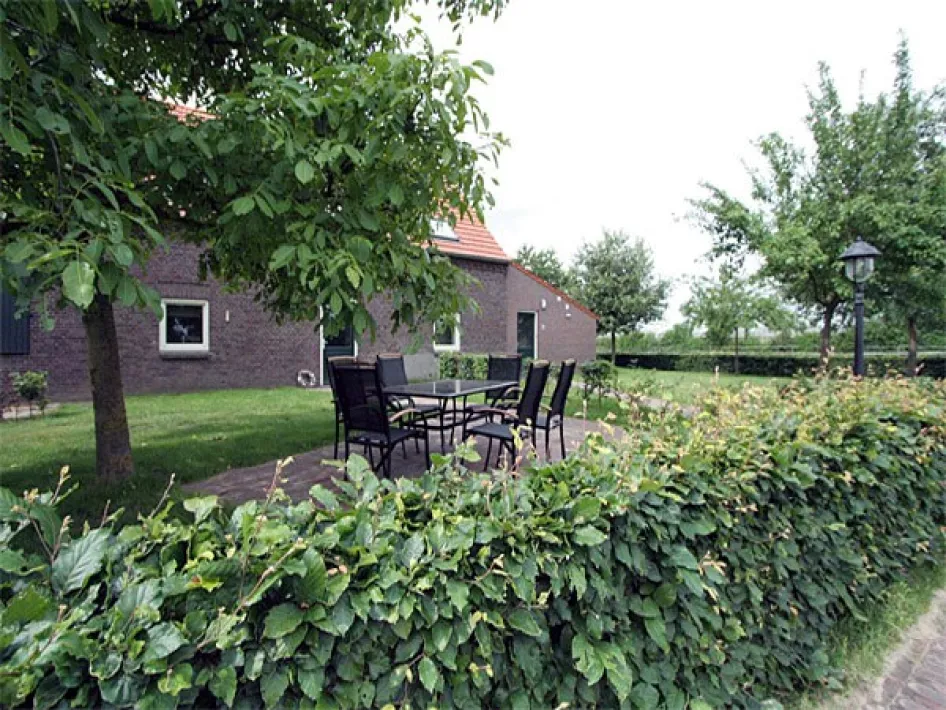 Tuin met terras en zitplek omringd door hagen en fruitbomen