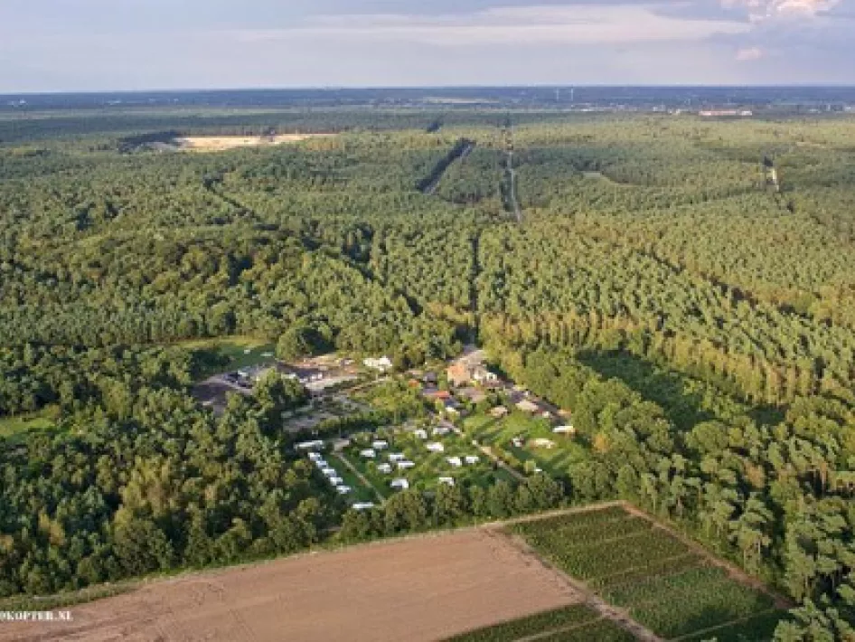 luchtfoto van bos