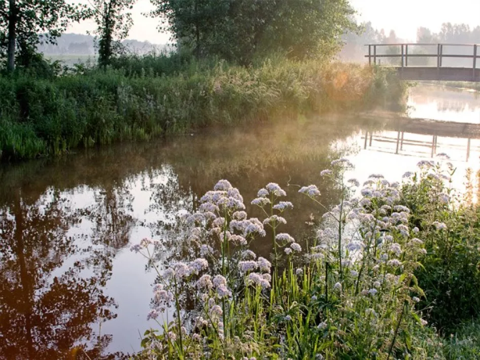 Border park KempenBroek