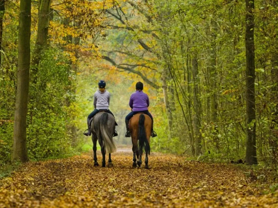 Twee ruiters met hun paarden op buitenrit