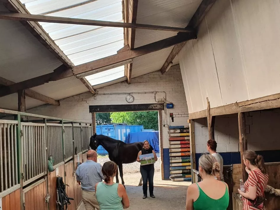 Reitzentrum Cadans Ställe