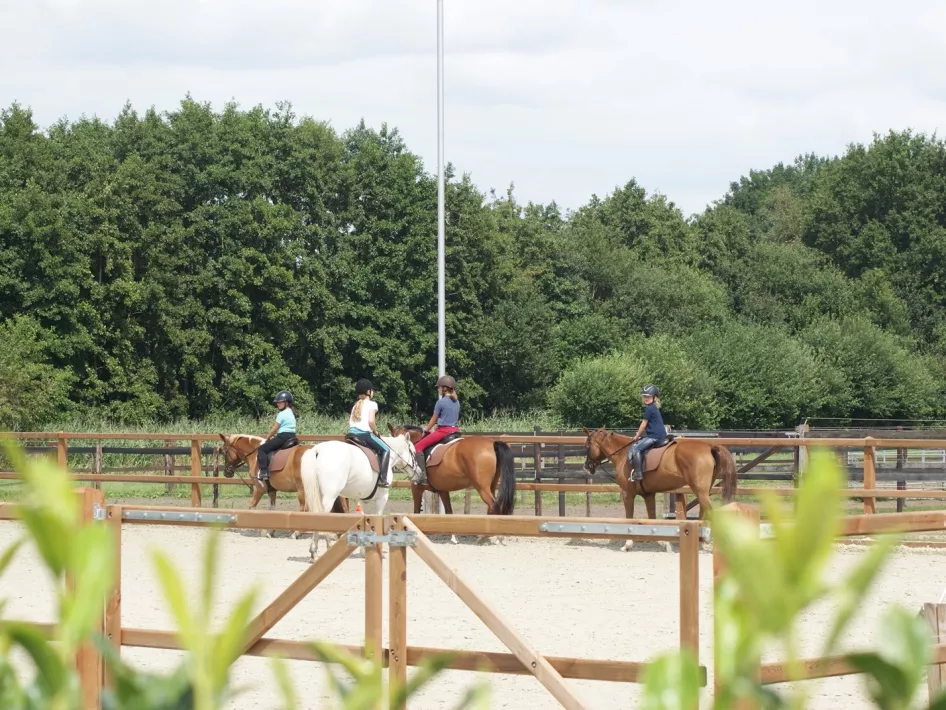 Caprilli Reitstunde im Freien
