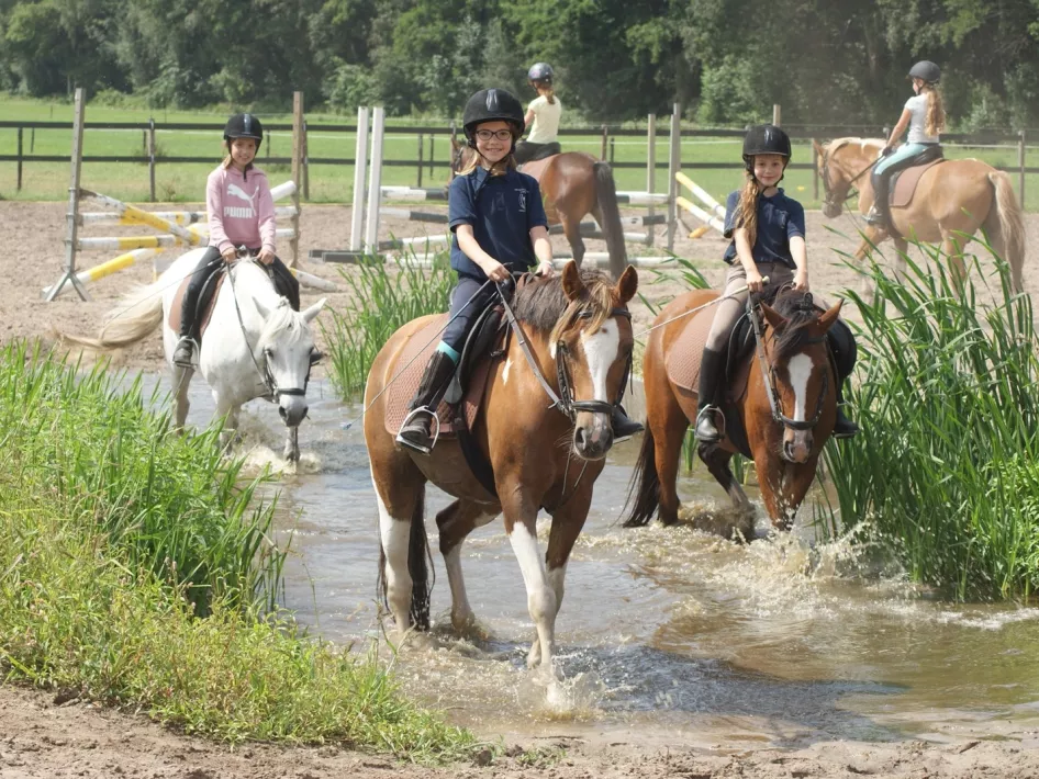 Caprilli Reiten durch Wasser