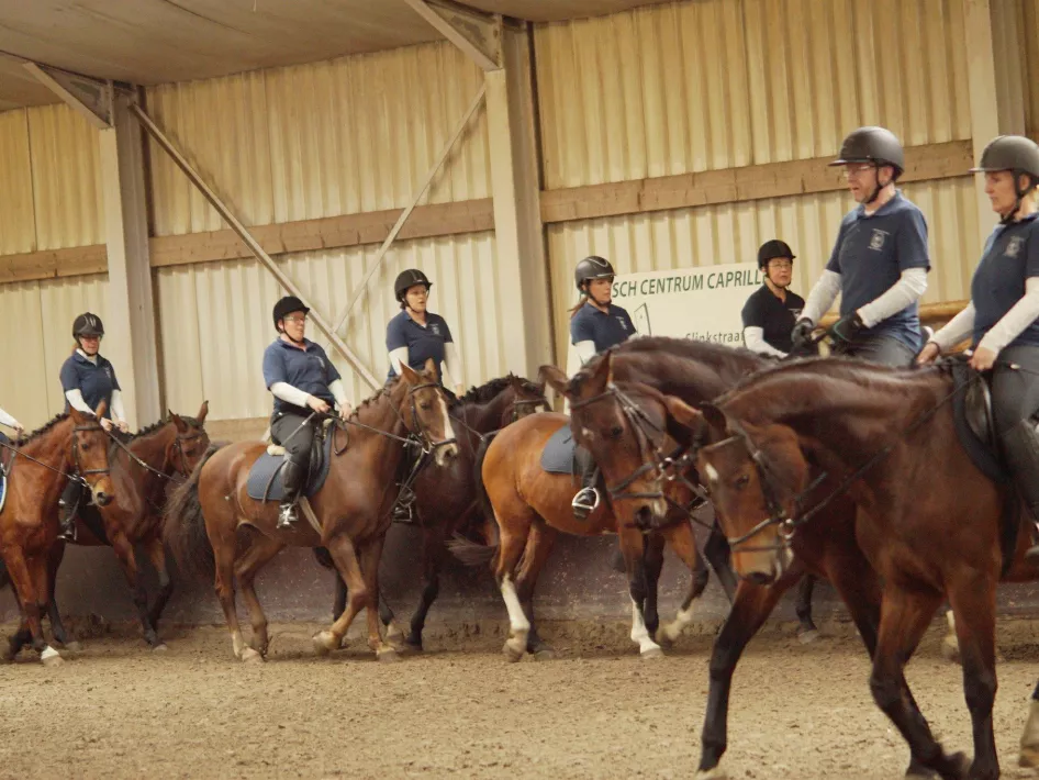 Caprilli Reitstunde