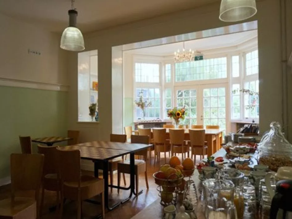 B&B Willem II's cozy breakfast room, furnished with wooden tables and chairs, large windows overlooking the garden and plenty of natural light. In the foreground is an extensive breakfast buffet with fruits, drinks and various breakfast options, while a vase of sunflowers is the centerpiece of the conservatory.