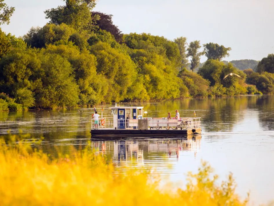 veerpont over de Maas