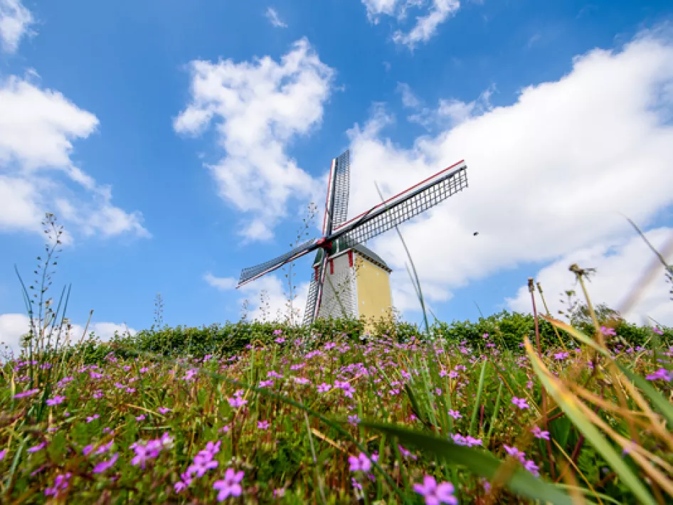 Wandelroute langs Molen Aurora Baexem 