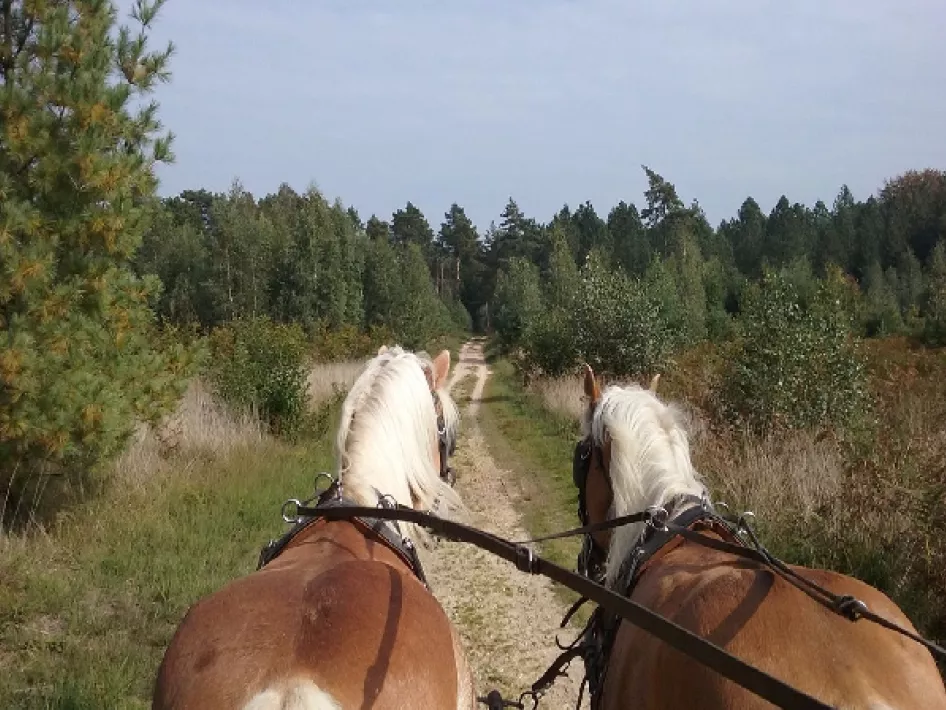Mennen in natuurgebied