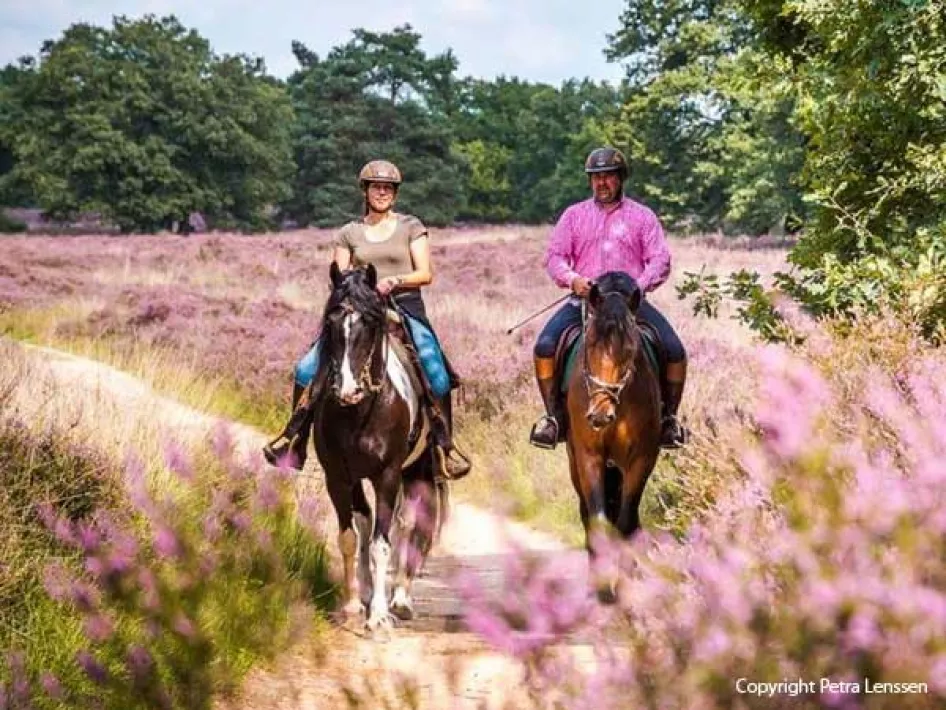 Ruiters in De Meinweg