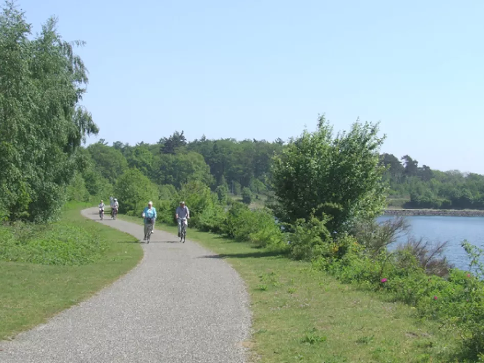 fietsen langs de Maas