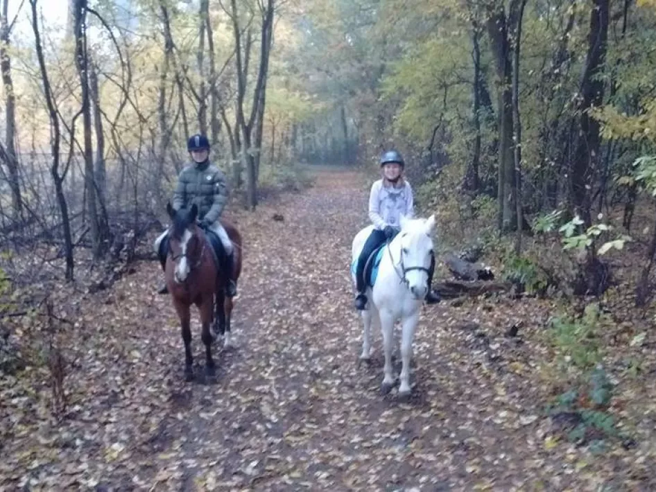 Reitsportzentrum Venlo Outdoor-Ritt