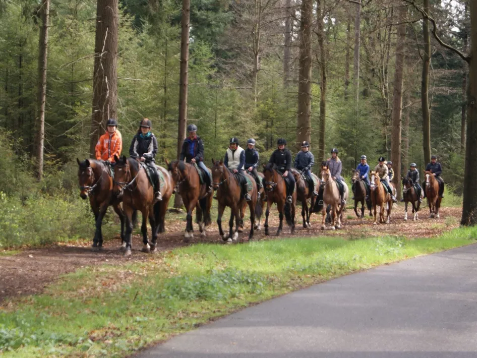 Manege de Grensstreek buitenrit
