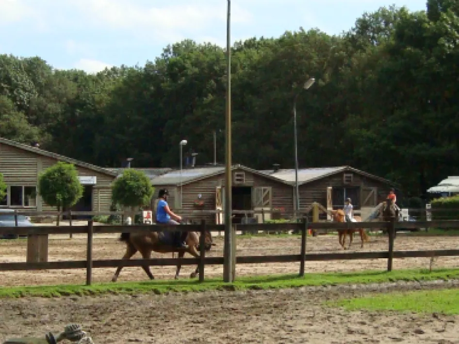 Reitschule Seurenheide Unterricht in der Outdoor-Arena