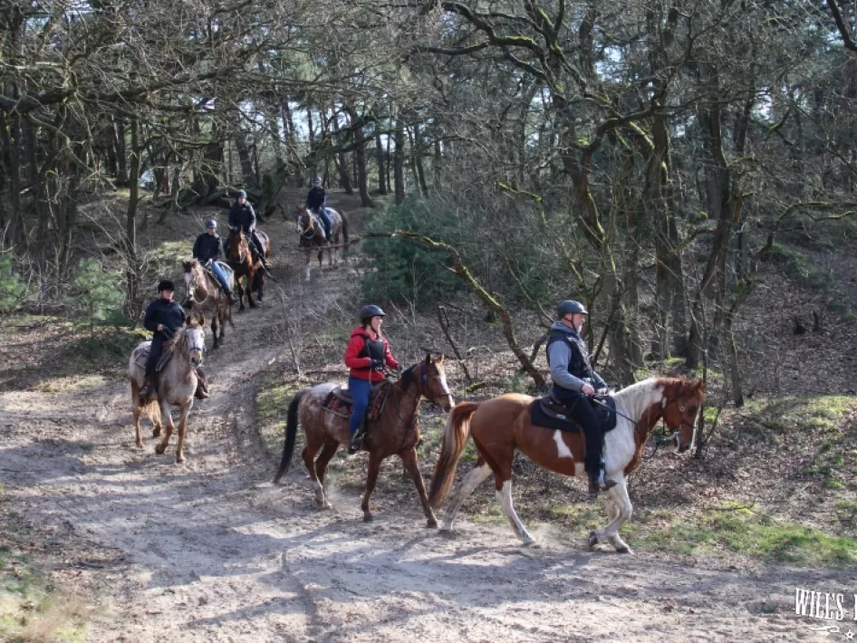 B&B Will's Ranch Ausritt